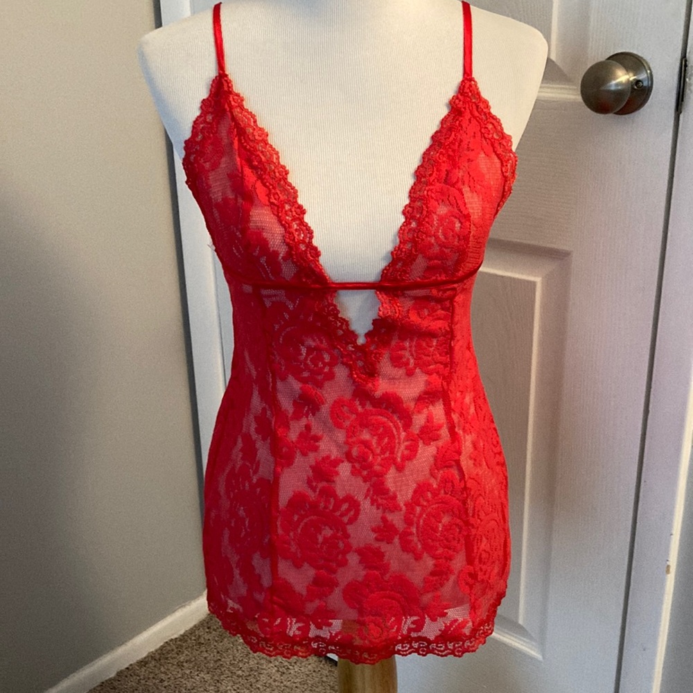 Gorgeous VS Small Red Teddy